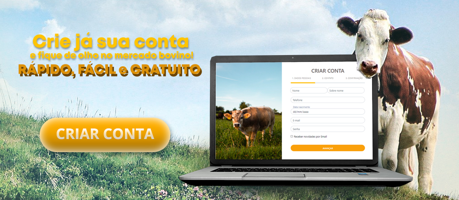 Cadastre-se ou entre no site Leiloaê