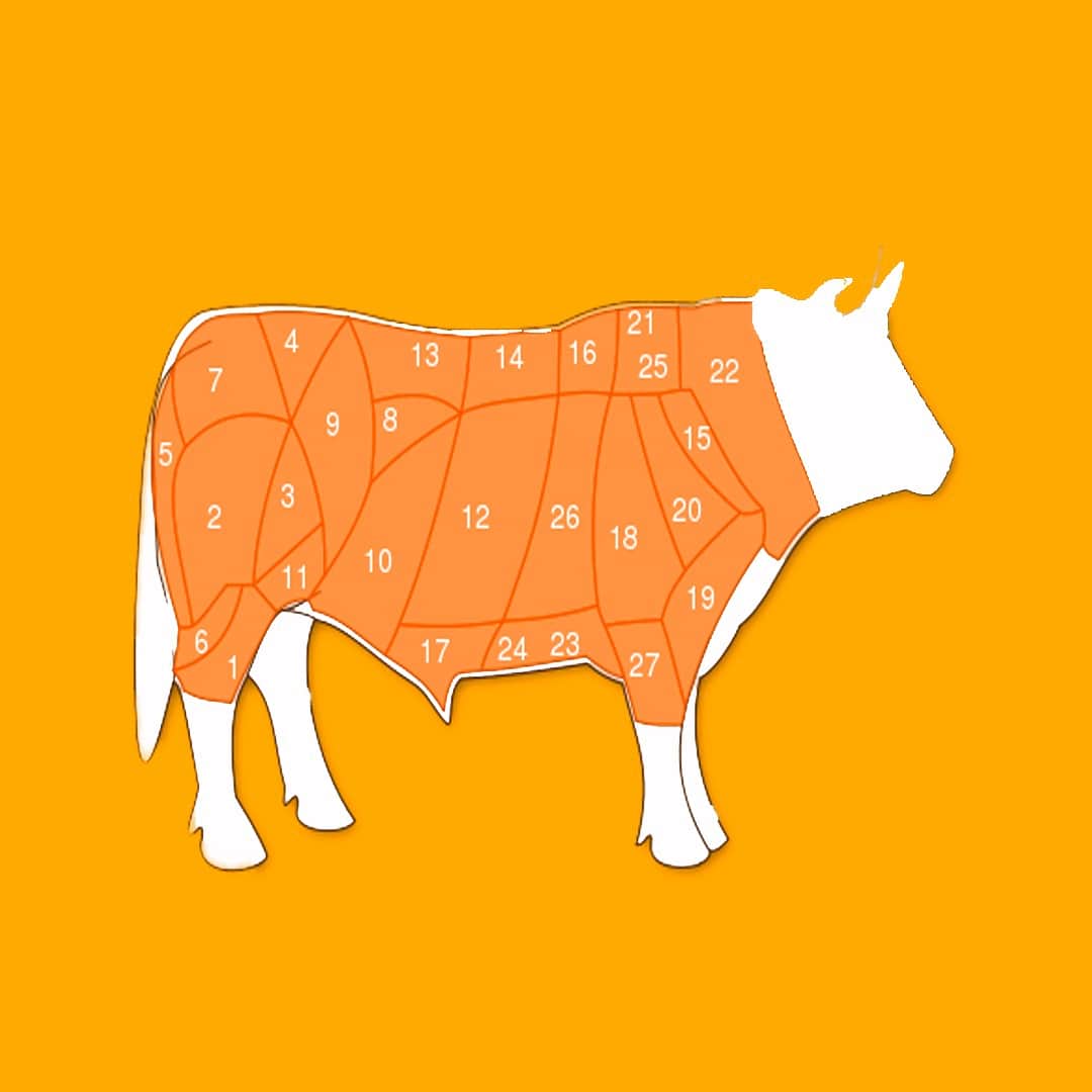 Boi Gordo Angus a venda